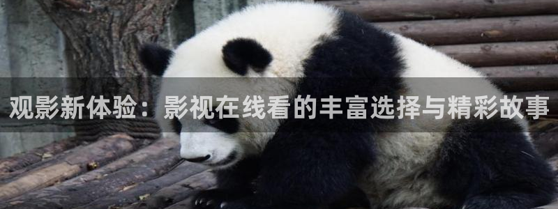 神马达达兔在线影院