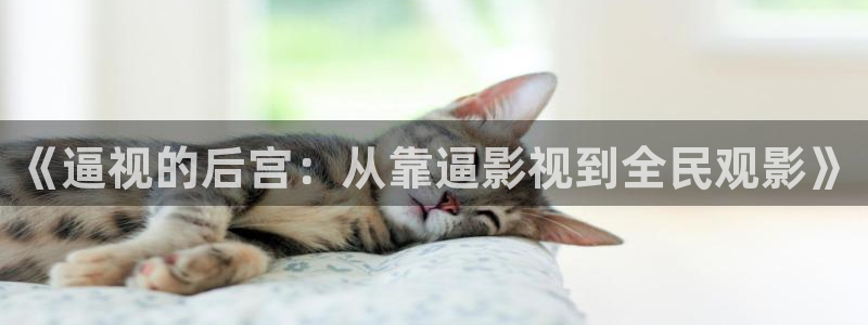 达达兔在线看电影